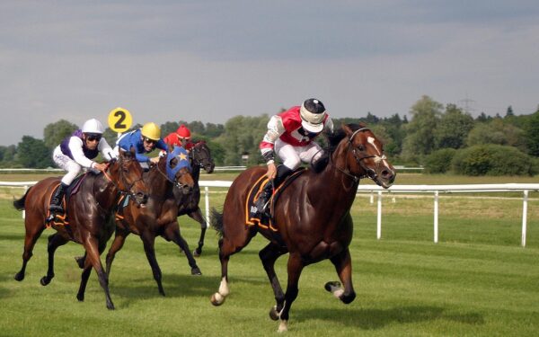 Eric Woerth réélu à la tête du PMU : une continuité stratégique assurée